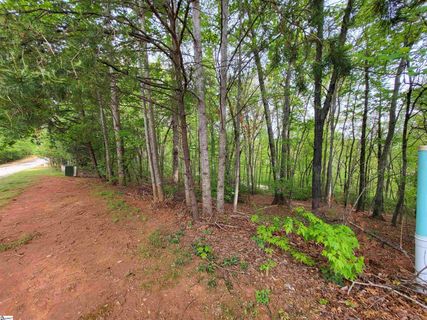 300 Laurel Valley Way