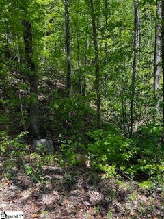 000 Rockhouse Road Lot 48 sold home in Summersett Place, Greenville, SC