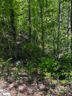 000 Rockhouse Road Lot 48 sold home in Greenville, SC