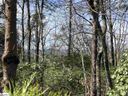 00 Stone Terrace Way sold home in Salem, SC