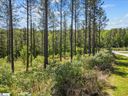 104 Coveside Lane sold home in Six Mile, SC