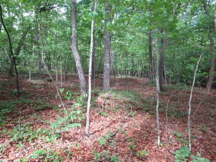 0 Raven Court Lot 35 sold home in River Bluff, Cleveland, SC