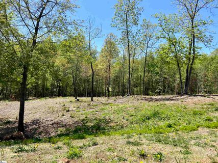 108 Pinelands Place Lot 22 sold home in The Pinelands, Travelers Rest, SC