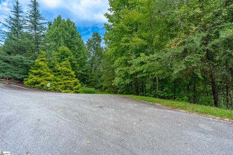 26 Crescent Pinyon Way active home in The Cliffs At Mountain Park, Marietta, SC