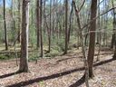 159 Shepherd Springs Drive sold home in Cleveland, SC