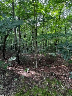 000 Cliff Ridge Drive Lot 253 active home in Cliff Ridge At Caesars Head, Cleveland, SC