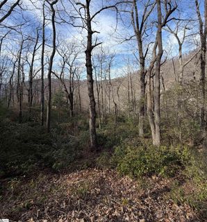 21 High Vista Way active home in Cliffs Valley, Travelers Rest, SC