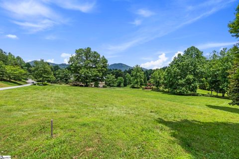 315 Split Creek Trail