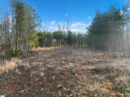 113 Pinelands Place sold home in The Pinelands, Travelers Rest, SC