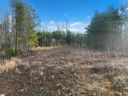 113 Pinelands Place sold home in Travelers Rest, SC