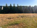247 Tuscan Ridge T Trail sold home in Inman, SC