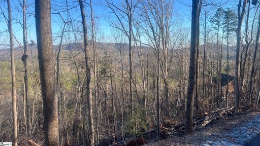 109 Stone Creek Court active home in Whispering Falls, Pickens, SC