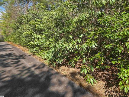 17 Cliff Ridge Drive pending home in Cliff Ridge At Caesars Head, Cleveland, SC