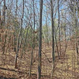 759 Durham Brown Road