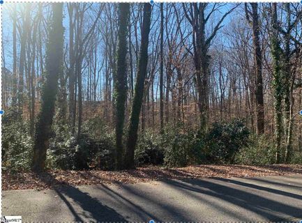 Forest Lane Drive