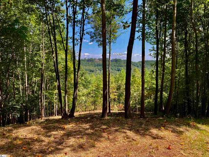 501 Blue Bonnet Trail