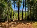 501 Blue Bonnet Trail sold home in Marietta, SC