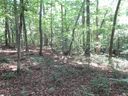 205 Gauley Falls Road sold home in Pickens, SC