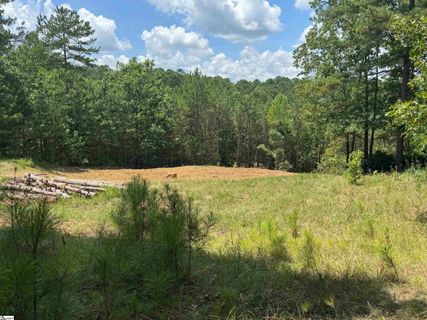 384 Cliffs South Parkway