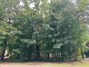 15 Sable Glen Drive sold home in Greenville, SC