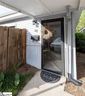 3706 E North Street sold home in Greenville, SC