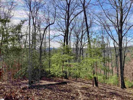 435 Augusta Links Trail active home in The Cliffs At Mountain Park, Travelers Rest, SC