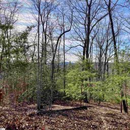 435 Augusta Links Trail