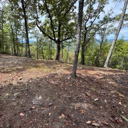 220 Blue Bonnet Trail