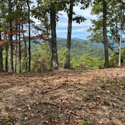 230 Blue Bonnet Trail