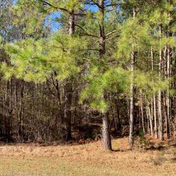 306 & 308 Watersedge Drive Lot #88 And Lot #89