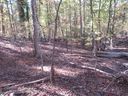 107 N Foxglove Road sold home in Westminster, SC