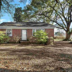 101 Mimosa Court