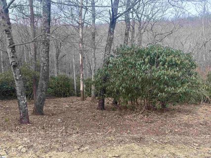24 Blazing Star Trail active home in The Cliffs At Glassy, Landrum, SC