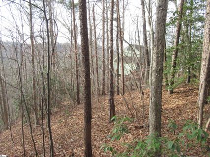 Lone Rock Court Lot 10 Whispering Falls active home in Whispering Falls, Pickens, SC
