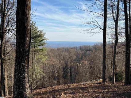 Lot 152 Goldenrod Way active home in The Cliffs At Glassy, Landrum, SC