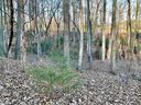 110 Laurel Valley Way sold home in Travelers Rest, SC