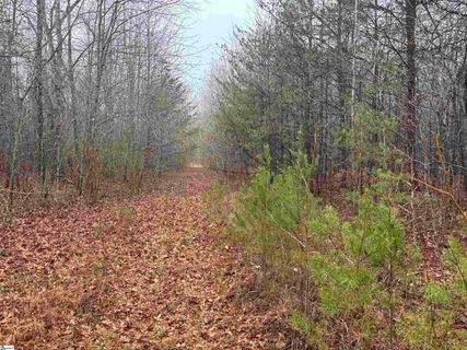 4024 Hwy 414 - 12.76 Acres (Not House)