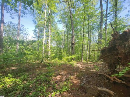 121 Laurel Valley Way pending home in The Woodlands At Cherokee Valley, Travelers Rest, SC