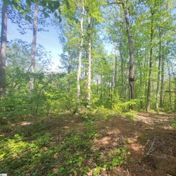 121 Laurel Valley Way