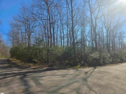 00 Birchbend active home in Cliff Ridge At Caesars Head, Cleveland, SC