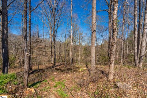 6 Bagwell Place sold home in Oak Creek, Spartanburg, SC