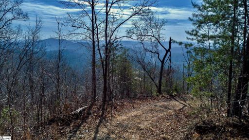 146 Glassy Falls Trail active home in Glassy Falls, Travelers Rest, SC