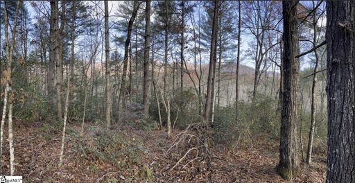 0000 Gap Creek Road Lot 2
