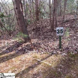 11 Matthews Creek Lane