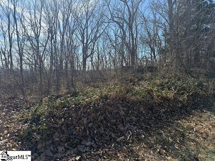 206 Eagle Rock Road active home in The Cliffs At Glassy, Landrum, SC