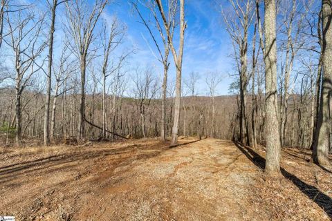 314 Mountain Lake Lane