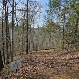 Lot 43 Deerchase Court