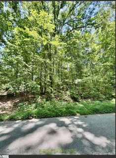 Lot B Adair Place active home in Parkview, Laurens, SC