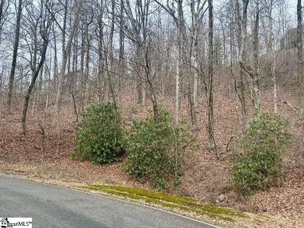 00 Indian Pipe Trail active home in The Cliffs At Glassy, Landrum, SC