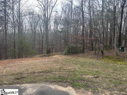 56 Angleblade Road active home in The Cliffs At Glassy, Landrum, SC